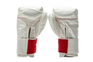 Professional Karate Gloves