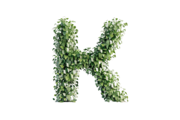 Alphabet Z with Green Leaves