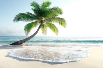Serene beach scene with a leaning palm tree and gentle waves.