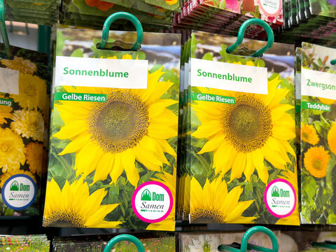 Sonnenblume seed packaging with bright yellow sunflower photograph in garden store display