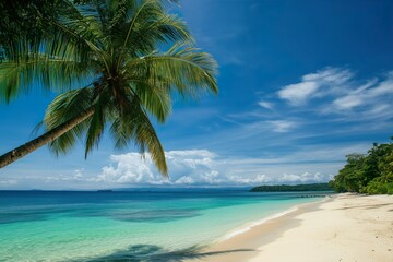 Serenity on the beach with palm trees under a blue sky