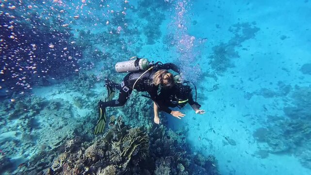 Group of scuba divers swimming between corals at coral reef. Diving instructor and group students in underwater exercise. Instructor teaches students. Underwater scuba diving education and training.
