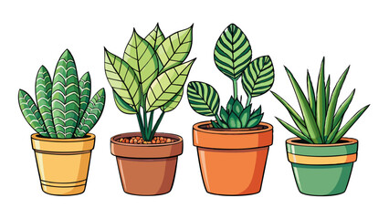 Set of isolated houseplants in pots – Detailed cartoon vector illustration on white background, including Monstera, Ficus, Sansevieria, Fern, Pilea and Succulent