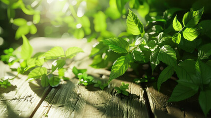fresh green leaves on wooden table
