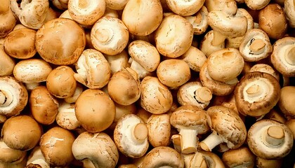 Fototapeta premium Fresh mushrooms piled together in a market ready for sale