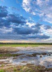 Field with a lot of water and clouds in the sky