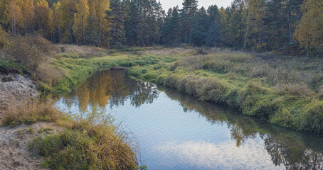 River with a lot of trees and grass on the banks