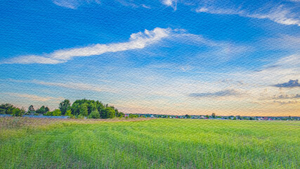 Large field of grass with a clear blue sky above