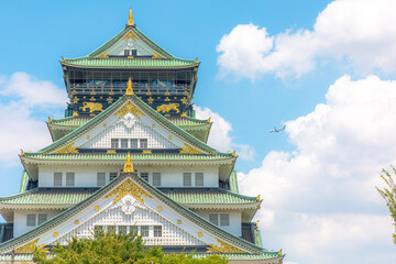 Obraz premium Japanese Castle Tower