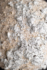 Close up of Textured Surface 
