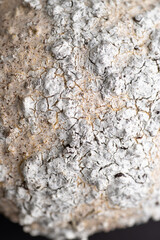 Close up of Textured Surface 