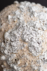 Close up of Textured Surface 
