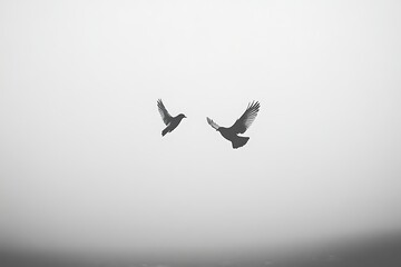 Fototapeta premium Two birds in flight against a misty sky