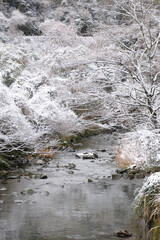 Fototapeta premium 白く染まる川の風景