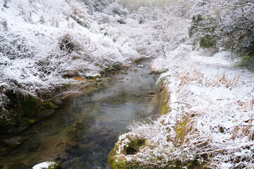 川と雪の自然風景