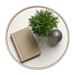 Coffee table with green plant. Interior furniture object top view isolated on white background.