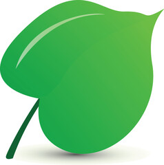 Single green leaf illustration

