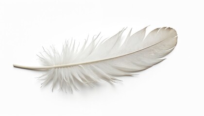 Obraz premium Soft white feather on white background. Delicate detail. Light, fluffy. Elegant, fragile object. Natural beauty. Close up view of feather. Perfect for nature lovers, designers. Ideal for backgrounds