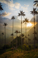 Cocora Valley in Colombia, South America