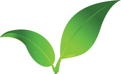Stylized Green Leaves with Smooth Gradient Design

