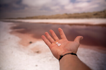 Geometric patterns of salt ponds under the desert sun