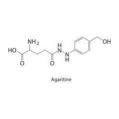 Agaritine skeletal structure.Ketone compound schematic illustration. Simple diagram, chemical structure.