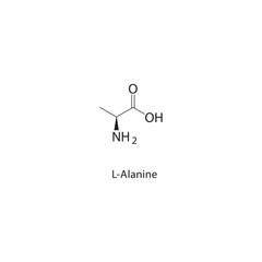 L-Alanine skeletal structure.Amino Acid compound schematic illustration. Simple diagram, chemical structure.