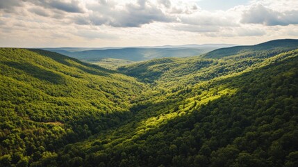 Fototapeta premium Scenic Aerial View of Verdant Mountain Valley Under Cloudy Sky