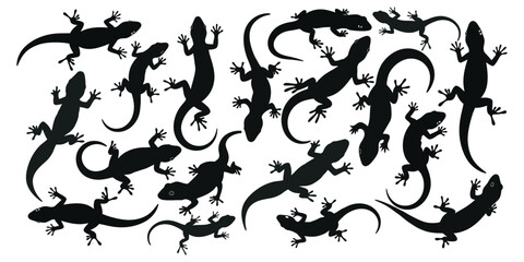 Lizard silhouette, Gecko lizard silhouette, Gecko silhouettes, Gecko lizard clipart, Lizard vector set with white background