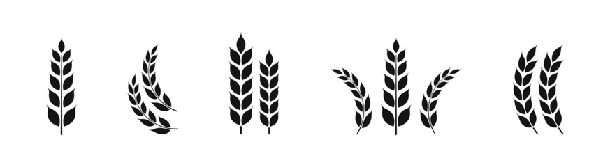 Ears of wheat symbols.  Wheat silhouettes. Wheat vector icons