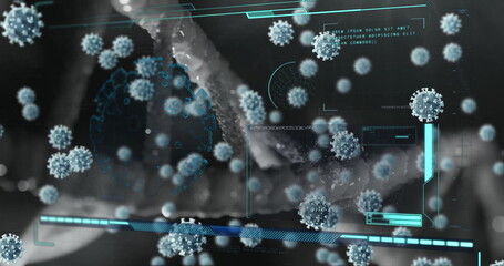 Image of virus cells and data processing over cells