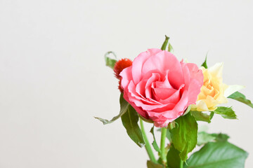 カラフルな花束