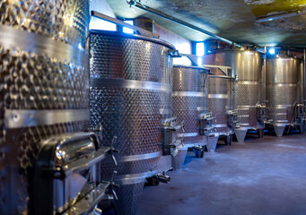 Visit of wine caves with steel tanks, wine making on bodegas wineries on volcanic soils of Mount...