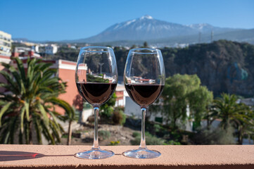 Wine making on bodegas wineries on volcanic soils of Mount Teide in Ycoden-Daute-Isora wine region on Tenerife, Canary islands winter sun vacation, Spain