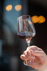 Wine making on bodegas wineries on volcanic soils of Mount Teide in Tacoronte-Acentejo wine region...