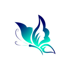 Fototapeta premium Colorful butterfly flying. A bright and picturesque butterfly with multi-colored wings. This shot conveys the beauty of nature and is ideal for use in projects related to nature, animals, summer seaso