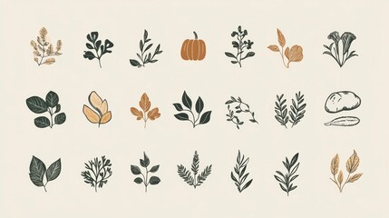 Fototapeta premium Floral vector set with decorative elements and nature-inspired designs