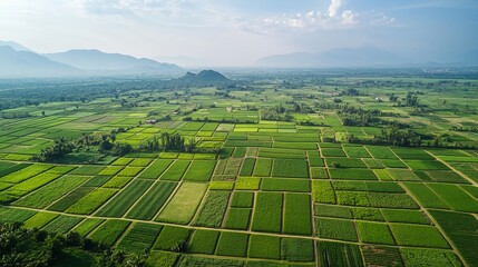 Lush agricultural fields rural area aerial view vibrant landscape serene environment nature and farming concept