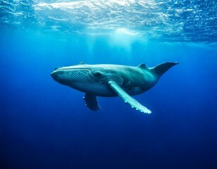 Fototapeta premium Majestic Blue Whale Underwater – Gentle giant in dreamy ocean blues with empty copy space