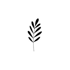 silhouette of a plant