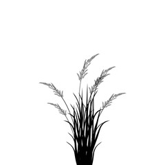 grass silhouette vector