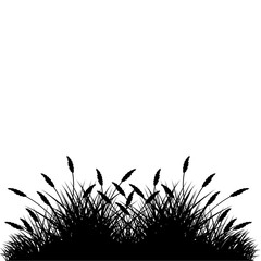 grass silhouette vector