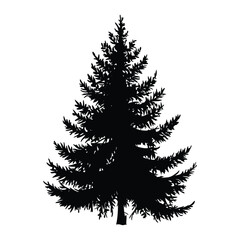Pine tree silhouette vector illustration