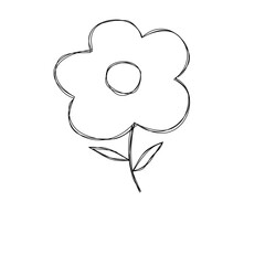 hand drawn vector illustration of a flower