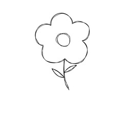 hand drawn vector illustration of a flower