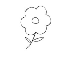 hand drawn vector illustration of a flower