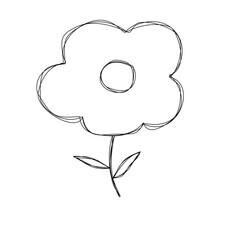 hand drawn vector illustration of a flower