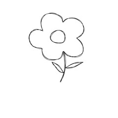 hand drawn vector illustration of a flower