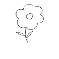 hand drawn vector illustration of a flower