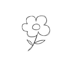 hand drawn vector illustration of a flower